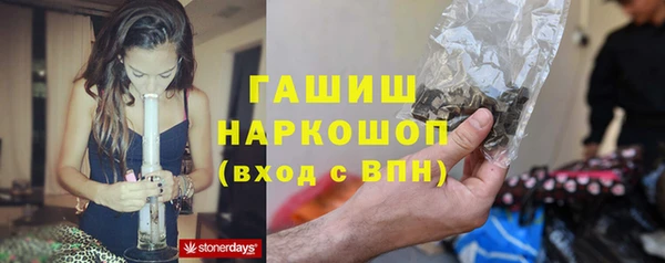 Альфа ПВП Гусев