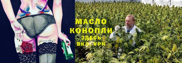 гашик Надым