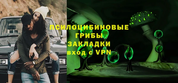 гашик Надым